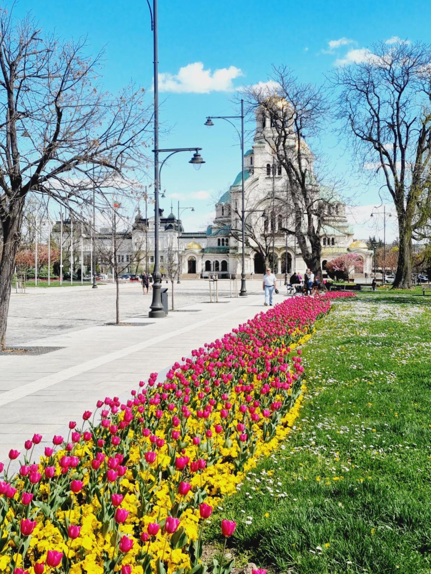 Appart - Feel Like Appartamento Sofia